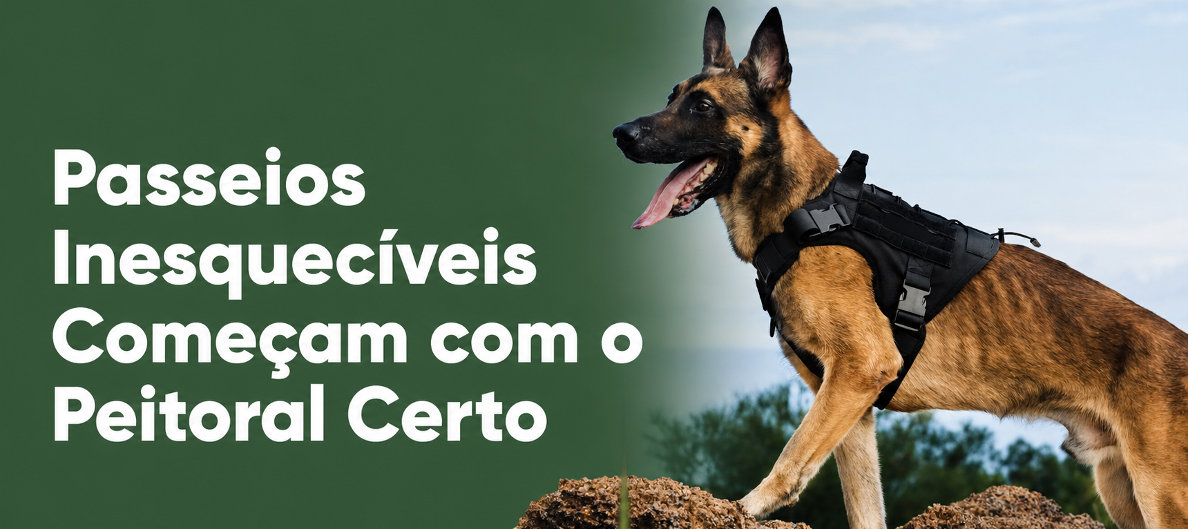Passeios inesquecíveis começam com o peitoral certo