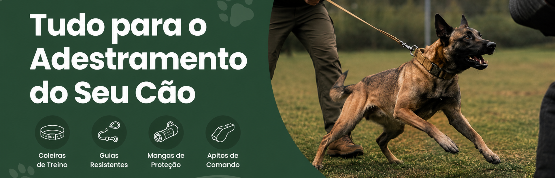 Tudo para o adestramento do seu cão